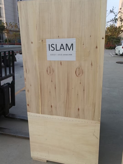 Hydrogen Peroxide Low-Temperature Plasma Sterilization (2)