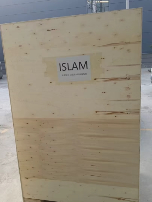 Hydrogen Peroxide Low-Temperature Plasma Sterilization in Action